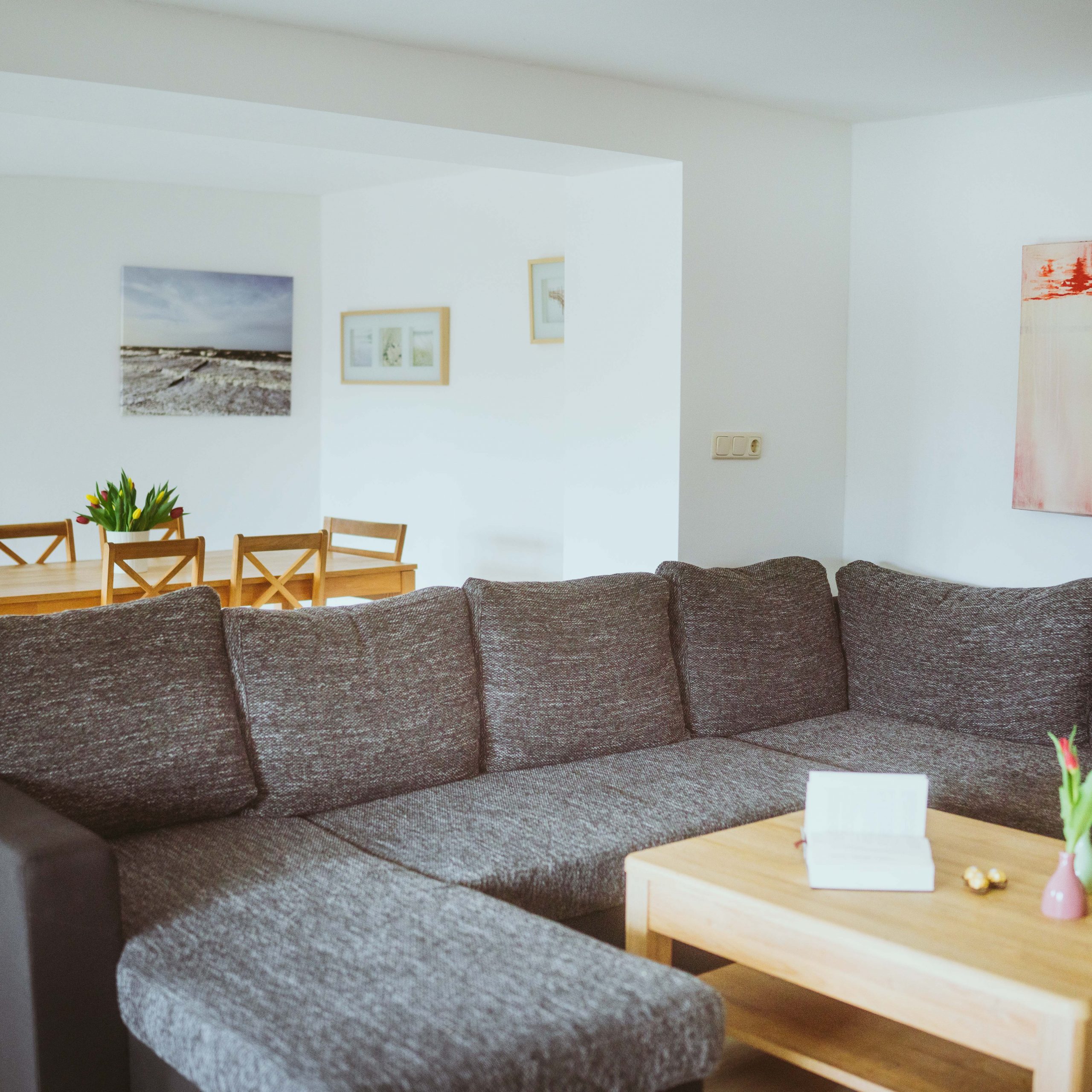 Apartment XL