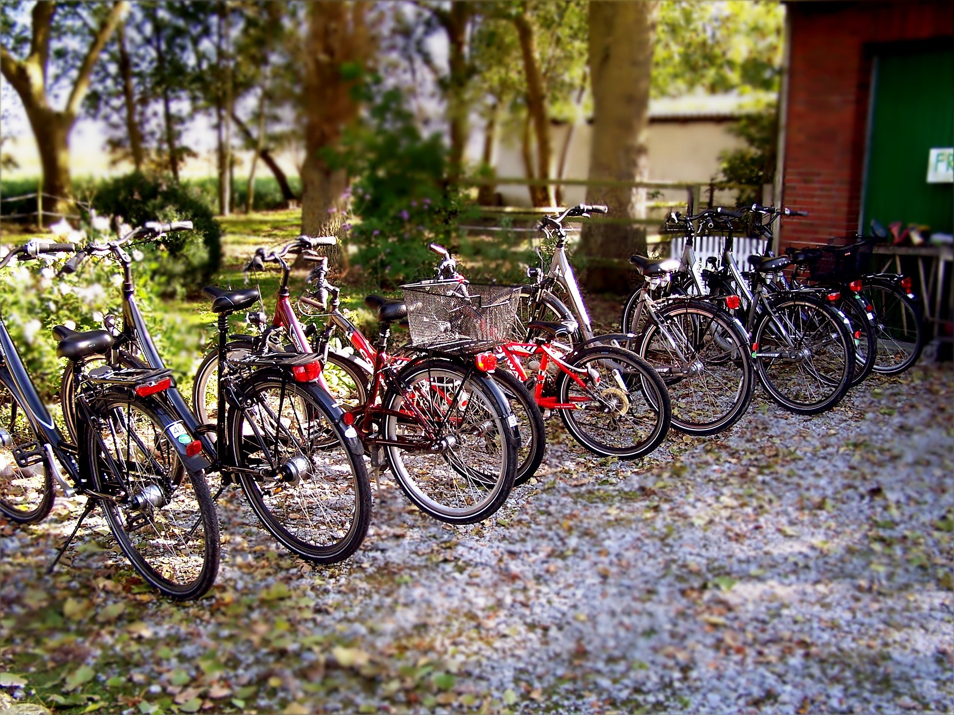 Bicycles in front of shed