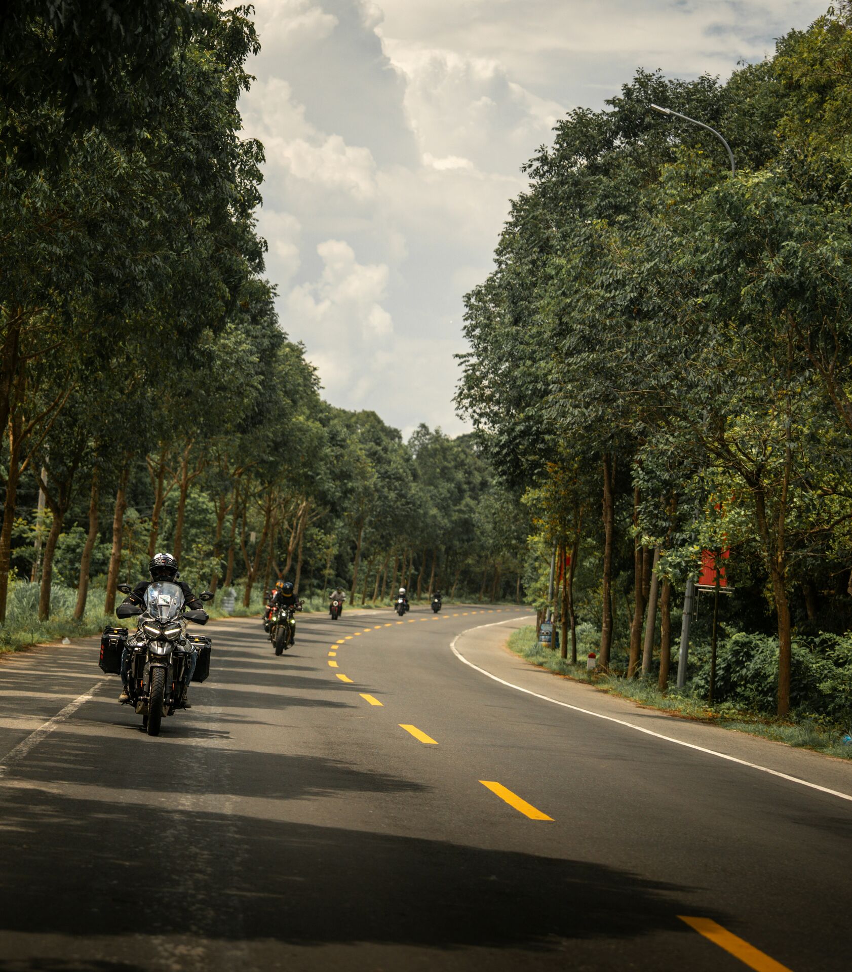 Motorrad-Touring-Gruppe auf Waldstra&szlig;e